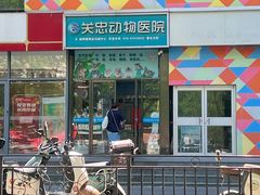 -瑞派·关忠动物医院·异宠专科·犬猫肿瘤·皮肤专科(望京店)