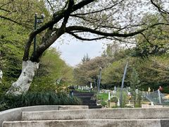 -杭州少年儿童公园