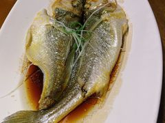 -路小缦·珍馐美馔(市心北路店)