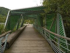 -西湖风景区-江洋畈生态公园
