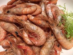 白灼蛎虾-怡情荟•海鲜青岛菜(五四广场旗舰店)