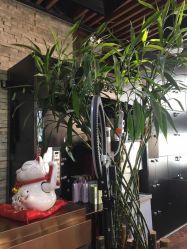 -形象革命造型·护肤Hair Studio