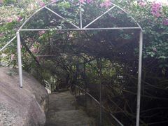 -鸿山公园