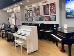 -爱琴海琴行(弘阳广场店)