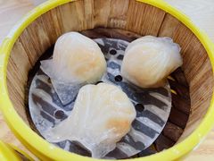 -杨记杏仁茶(椰园店)