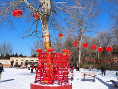 -北京亚布洛尼朝阳公园滑雪场