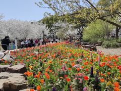 -苏州上方山国家森林公园