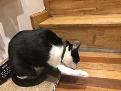 -猫的天空之城概念书店(杭州南宋御街店)