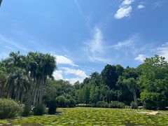 -中国科学院西双版纳热带植物园