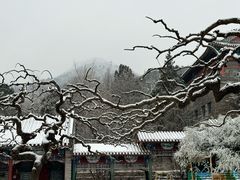 -香山公园