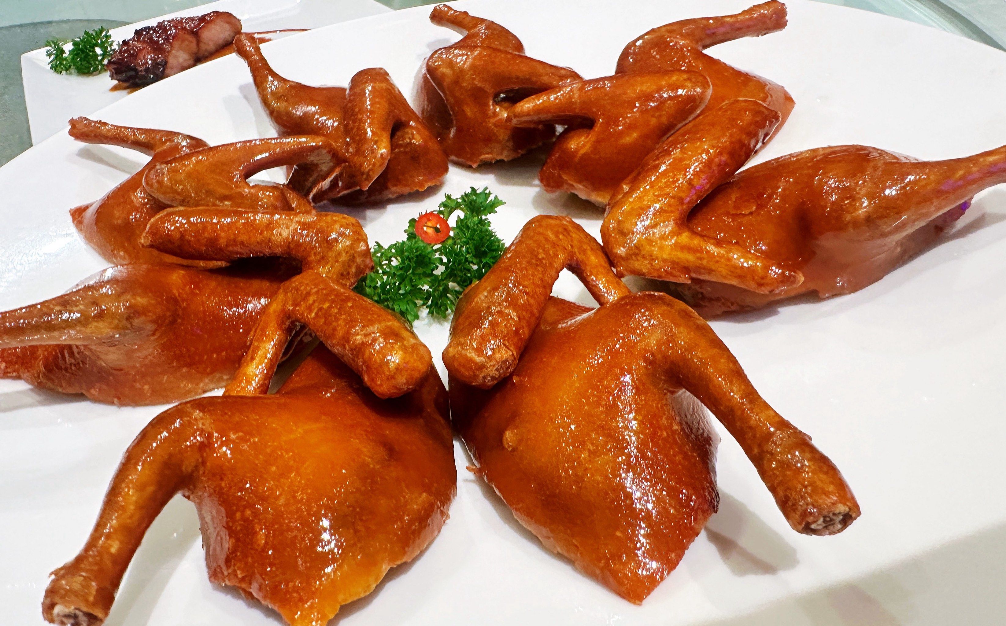 一百元一只的乳鸽,来利苑实现乳鸽自由