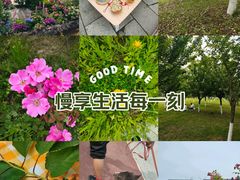 -诗经里