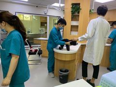 -联合动物医院(光谷诊疗中心)