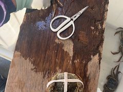 -阳澄湖大闸蟹·琼灵阁牌品牌连锁(吴中总店)