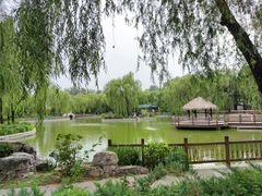 -南宫五洲植物乐园