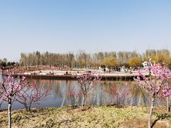 -东郊湿地公园