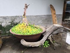 -千岛湖城中湖游船码头