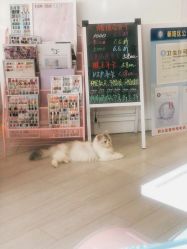 -Beauty Nails 美甲美睫皮肤管理