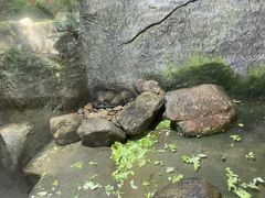 -青青世界