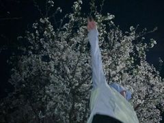 -西北湖绿化广场