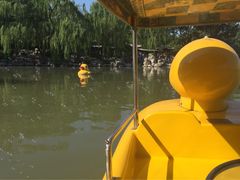 iphone_upload_pic-紫竹院公园冰场