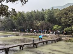 -兰亭风景区