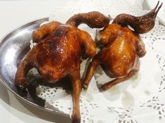 红烧乳鸽-石岐乳鸽村(南海第三分店)