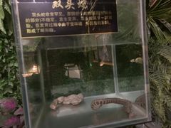 -厦门海底世界