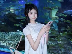 -海合安武汉极地海洋公园