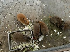 -祥源·阜阳生态乐园