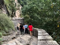 -少华山国家森林公园