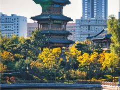 -迎泽公园