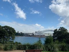 -麦考利夫人座椅