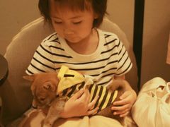 -逗柴咖啡屋·狗咖猫咖宠物桌游