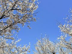 -长田漾湿地公园