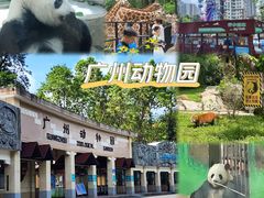 -广州动物园