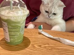 -星巴克(东莞塘厦万科生活广场店)