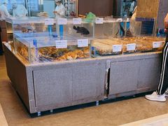 水产区-船歌·鱼水饺青岛菜(闽江二路店)