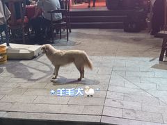-王荣法仓前羊锅