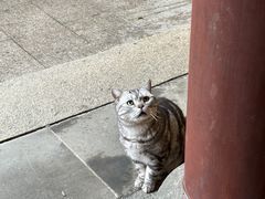 -龙华寺