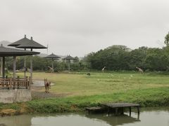 -宁波野生动物园