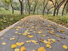-河南省黄河迎宾馆