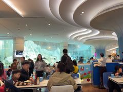 -帝企鹅自助餐厅•儿童岛•真企鹅(长隆企鹅酒店)