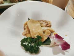 -新白鹿餐厅(百联中环店)