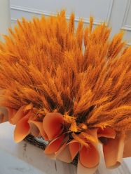 点击看大图 -YESIDO椰岛美容