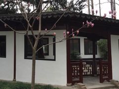 -汇龙潭