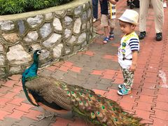 -吉隆坡雀鸟公园