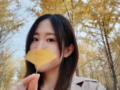 -汉景帝阳陵博物院