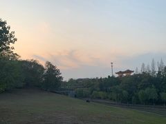 -合肥三国新城遗址公园