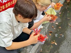 -霸王虾·麻辣小龙虾(清水河公园店)